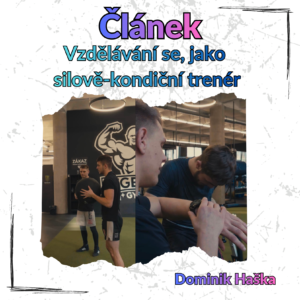 SILOVĚ SILOVĚ