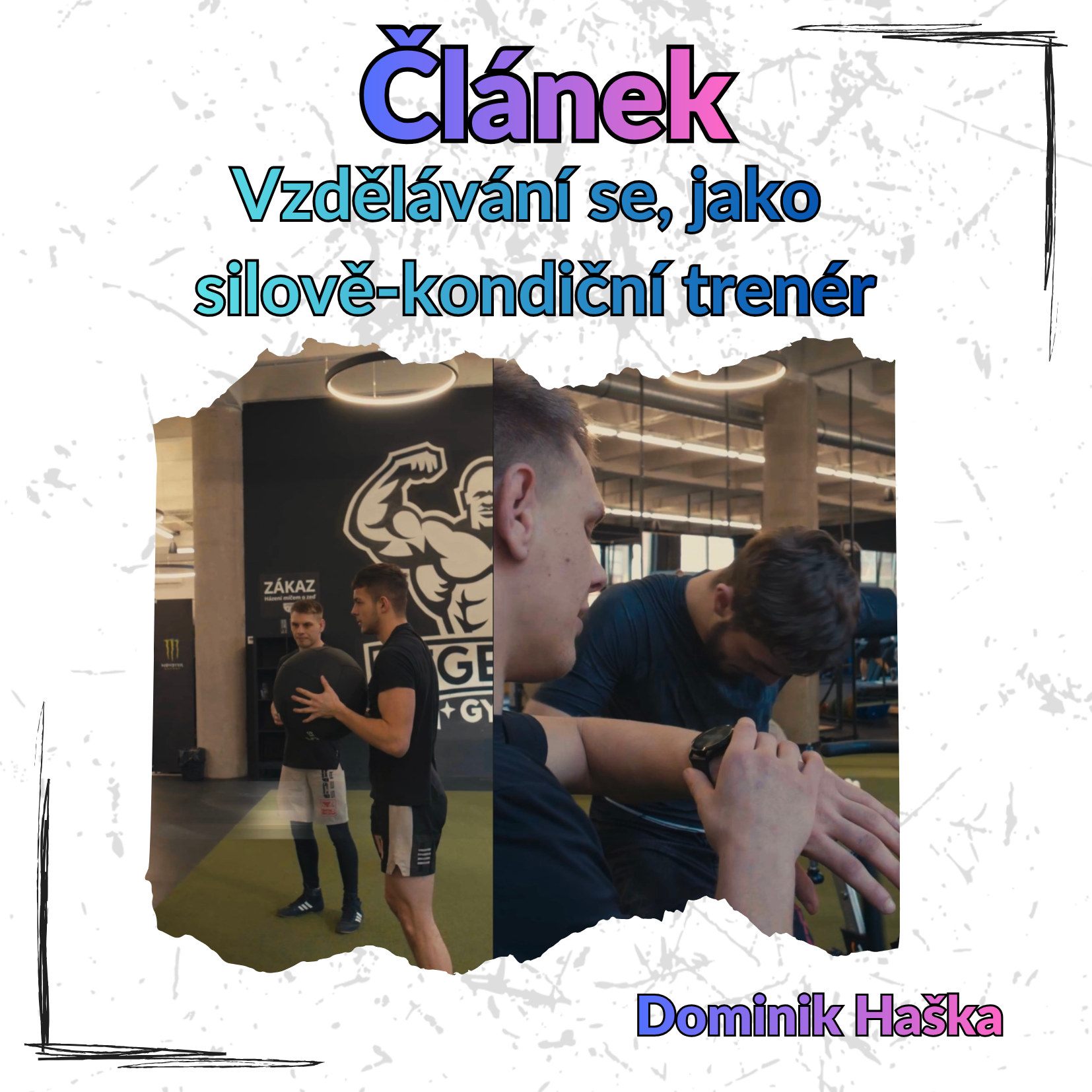 Právě si prohlížíte Vzdělávání se, jako silově-kondiční trenér