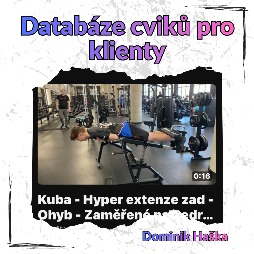 Databáze cviků pro klietyze