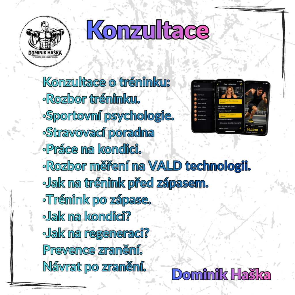 Konzultace 3