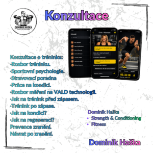 Konzultace Konzultace