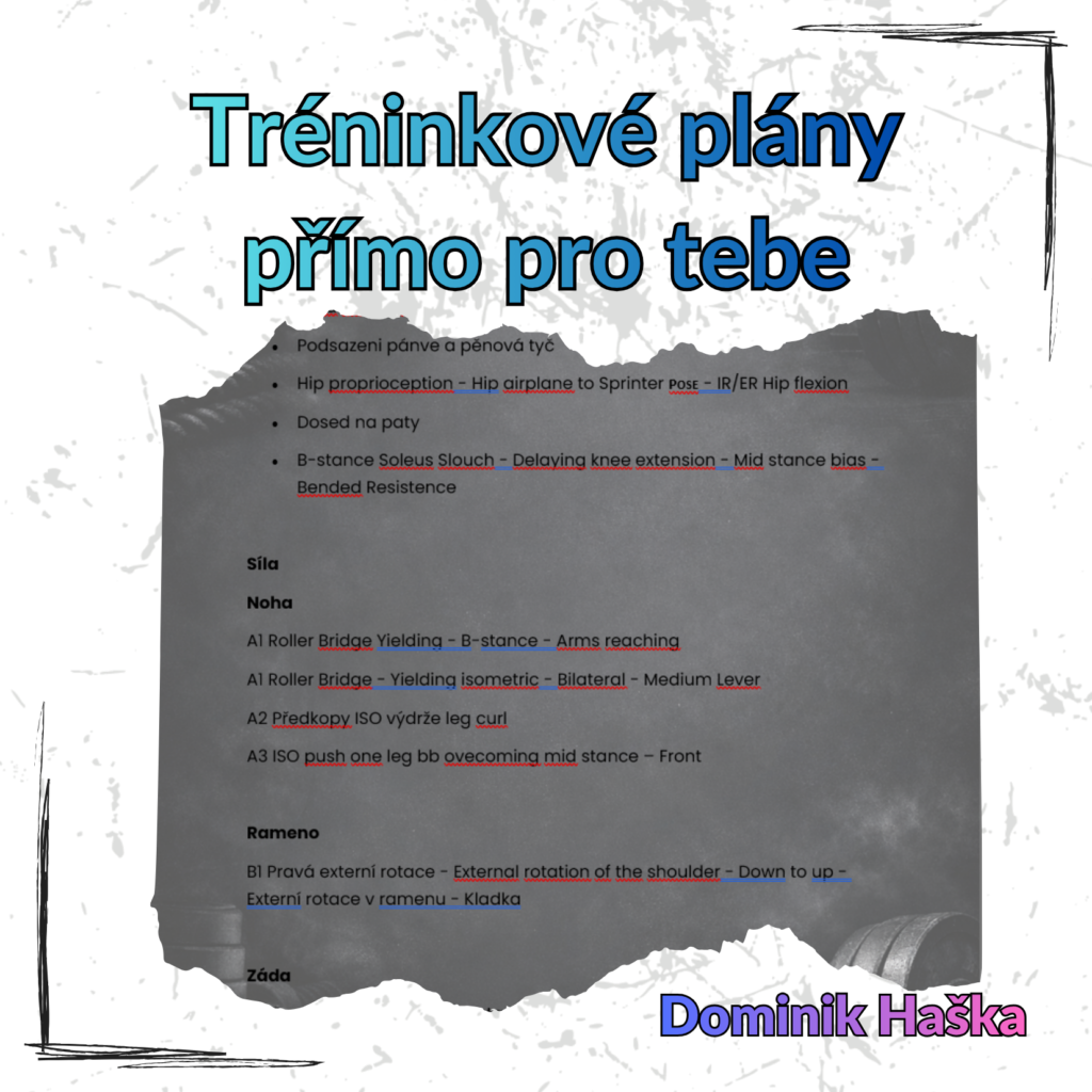 Tréninkové plány přímo pro tebe
