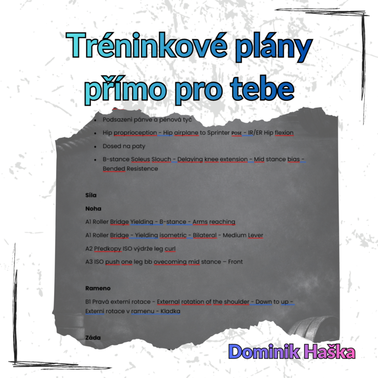 Přečtete si více ze článku Tréninkové plány přímo pro tebe