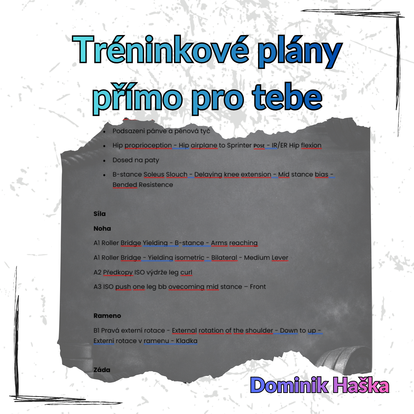 Přečtete si více ze článku Tréninkové plány přímo pro tebe