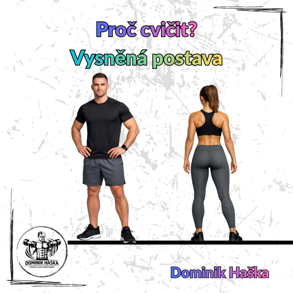 článek vzor (2)