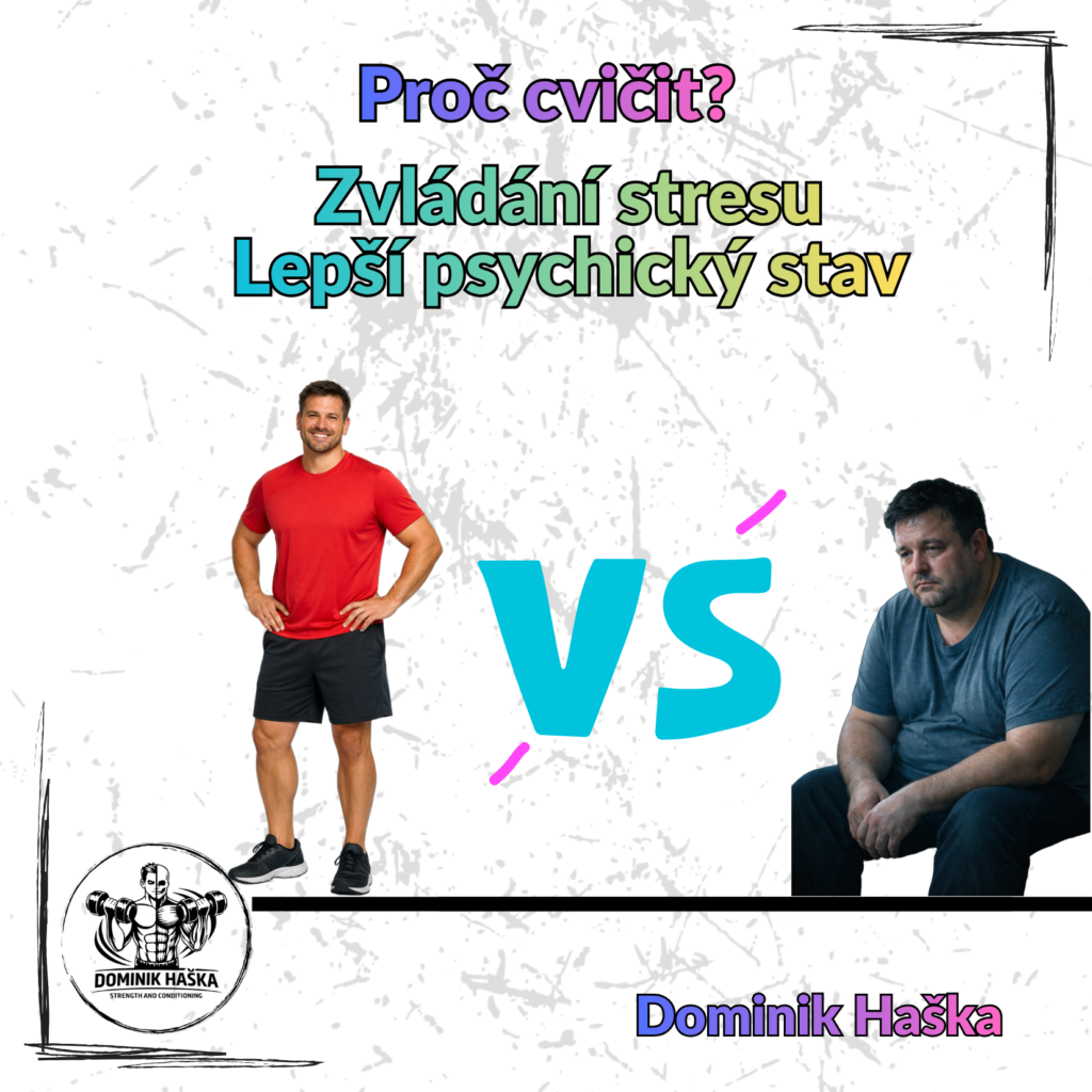 článek vzor (3)