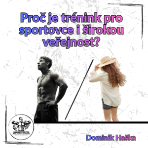 článek vzor článek vzor