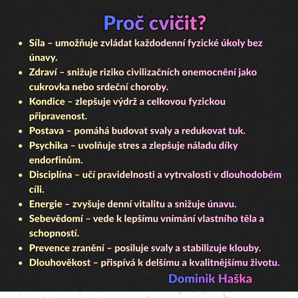 článek vzor (4)
