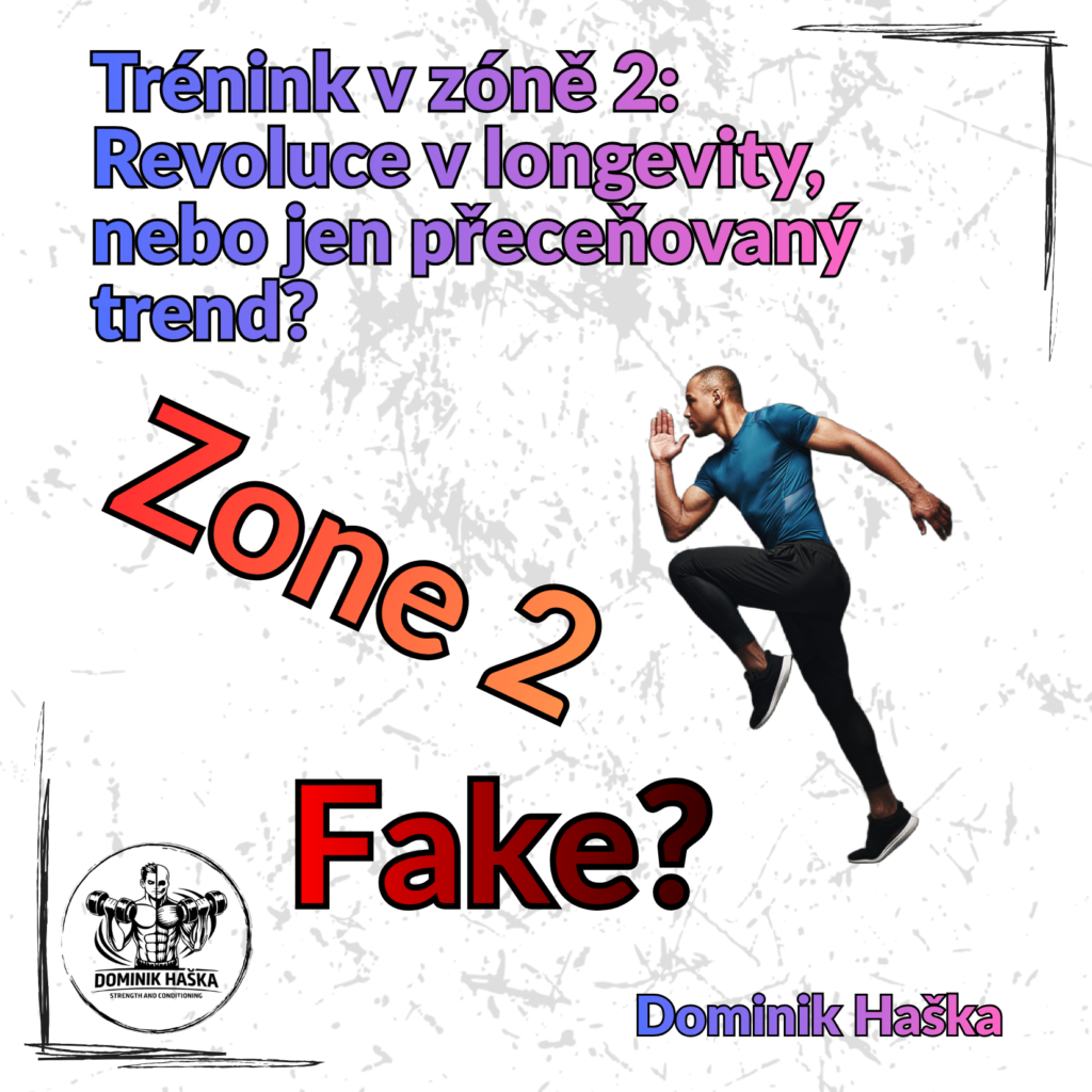 článek zóna 2